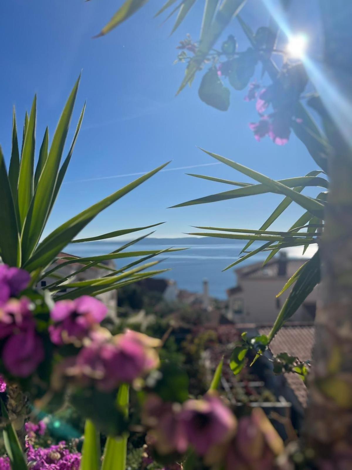 Ciovo Big Seaview Near The Sea Apartment Trogir